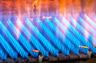 Tresowes Green gas fired boilers