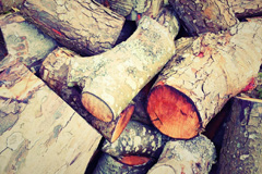 Tresowes Green wood burning boiler costs